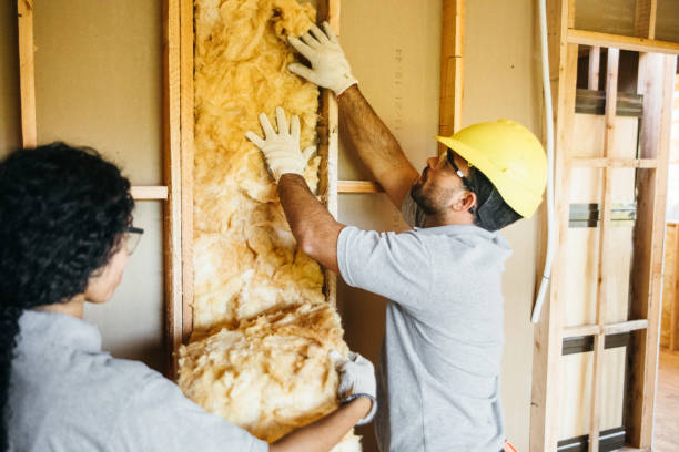 Best Soundproof Insulation Installation  in El Dorado Springs, MO