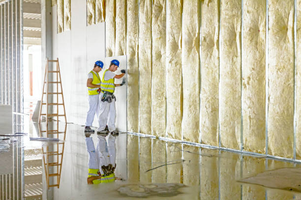 Best Wall Insulation Contractor  in El Dorado Springs, MO